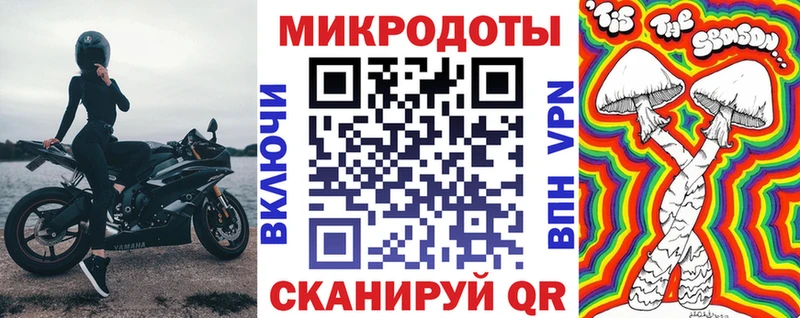MEGA маркетплейс  купить наркоту  Гурьевск  Галлюциногенные грибы Psilocybine cubensis 