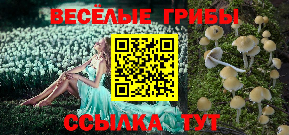 Гурьевск  Псилоцибиновые грибы мицелий  Вход с VPN 