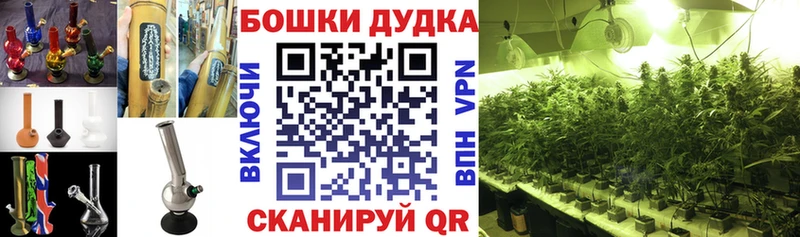 как найти закладки Гурьевск Бошки Шишки OG Kush
